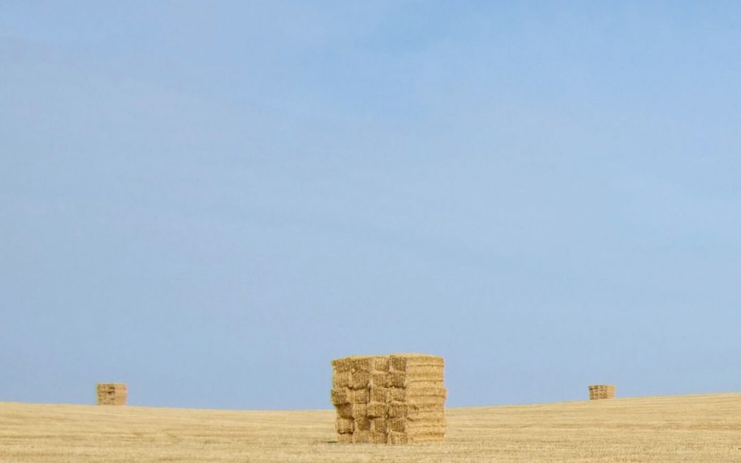 Staubreduzierte Premiumballen für Pferde und landwirtschaftliche Nutztiere